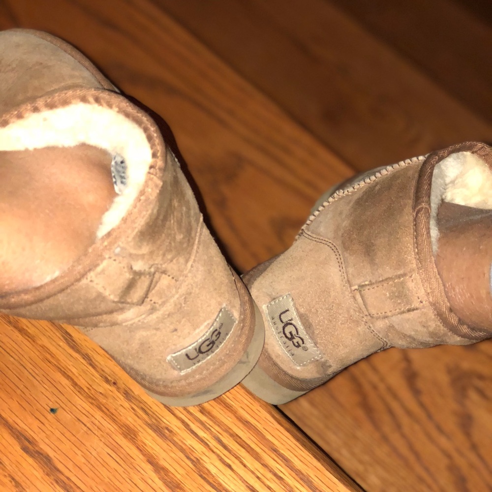 Ugg Chestnut mini boot